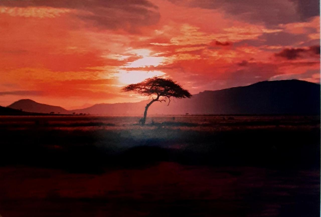 Serengeti Nap Comfy Rooms Sidari  Luaran gambar