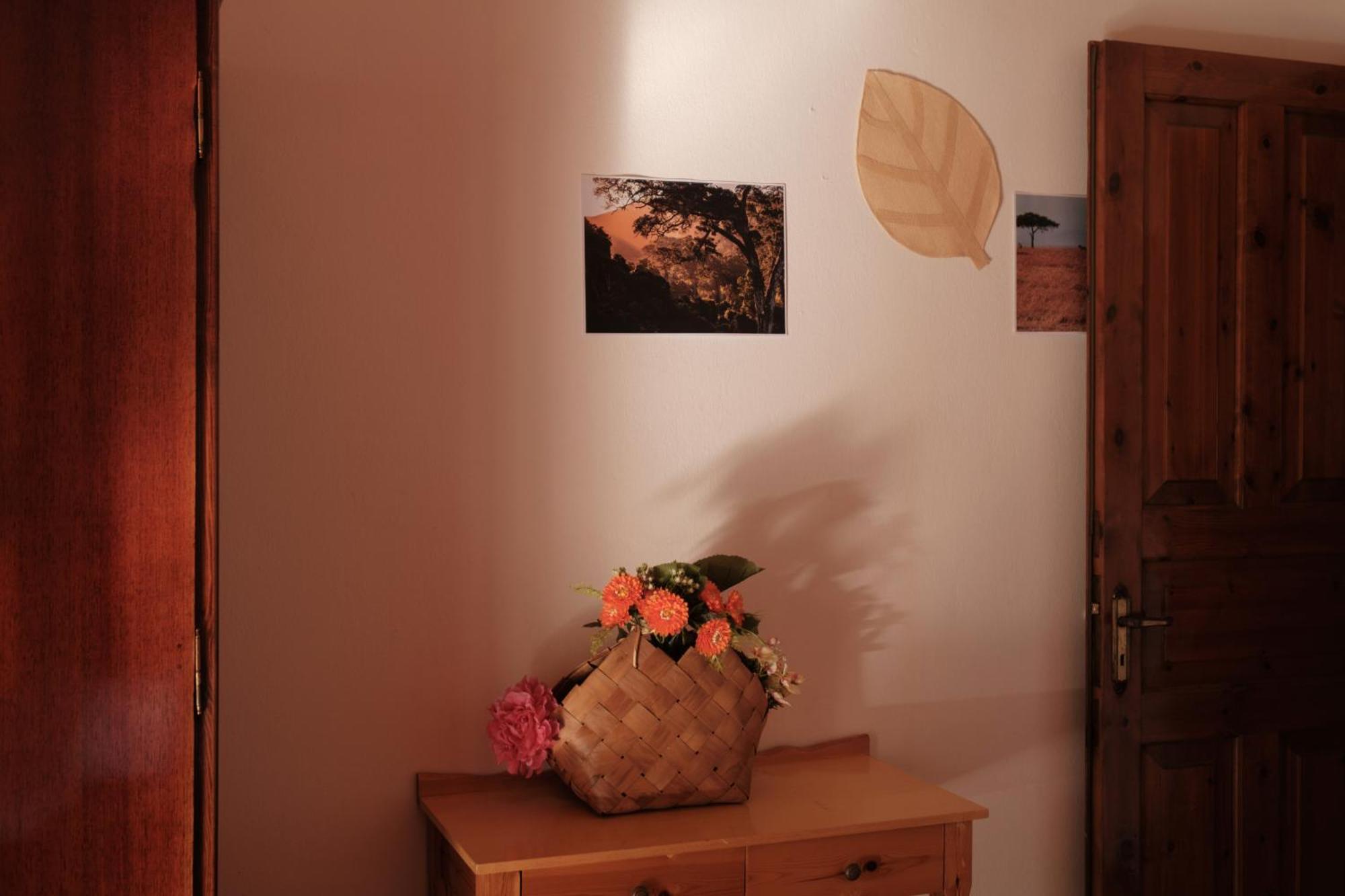 Serengeti Nap Comfy Rooms Sidari  Bilik gambar